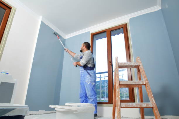 Best Drywall Removal and Disposal  in Woodward, OK